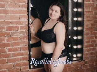 Rosaliebigboobs