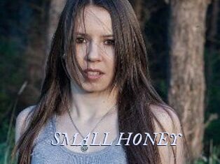 SMALL_HONEY