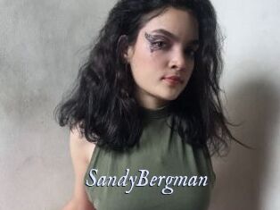 SandyBergman