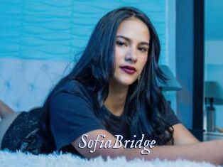 SofiaBridge