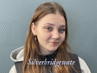 Silverbridgewate