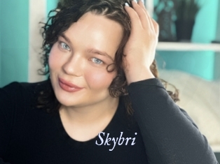 Skybri