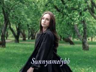 Sunnyamelybb