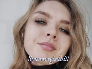 Synnovegledhill