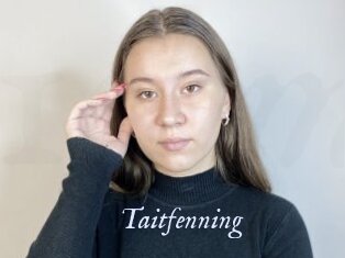 Taitfenning
