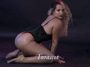 Tarascot