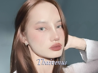 Thaivenus