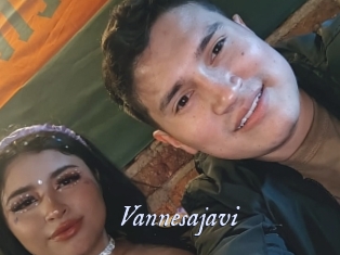 Vannesajavi