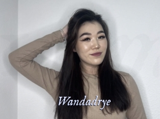 Wandadrye