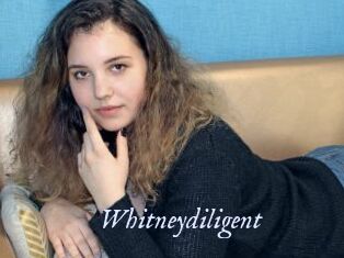 Whitneydiligent