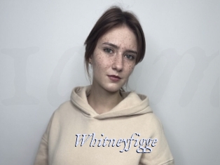 Whitneyfigge