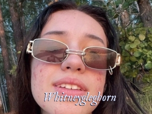 Whitneygleghorn