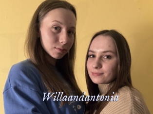 Willaandantonia