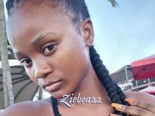 Ziebea22